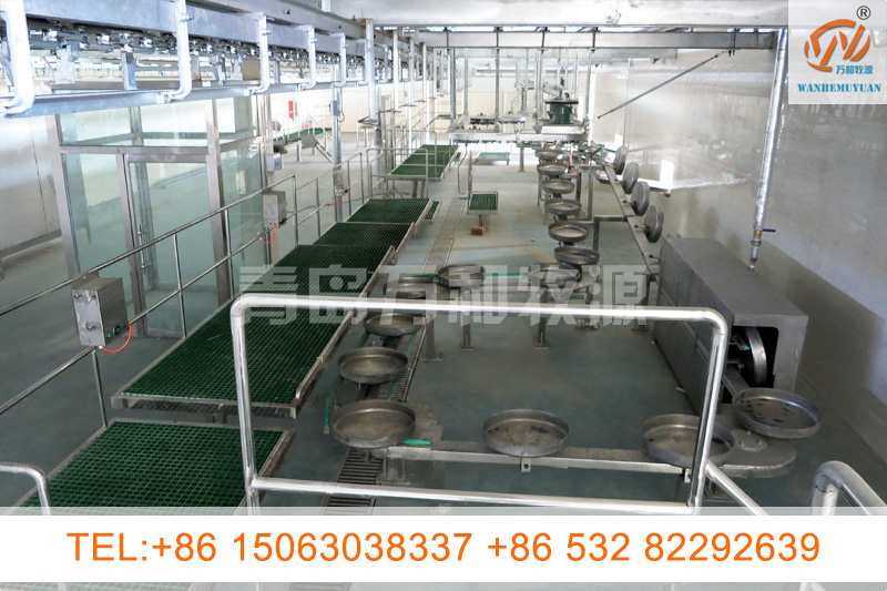 Floor standing synchronous quarantine conveyor