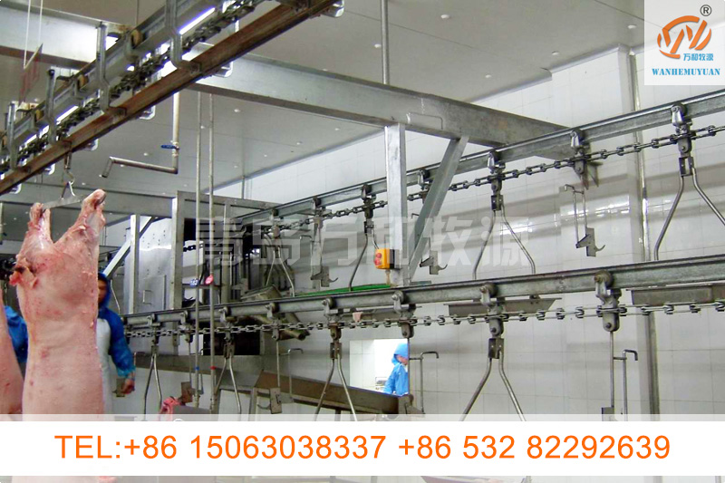 Suspended synchronous quarantine conveyor