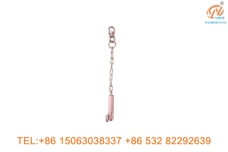 Sheep buckle ankle chain
