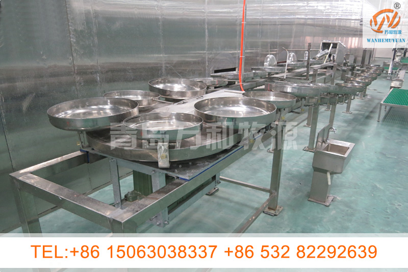 Five line linked anchor chain conveyor