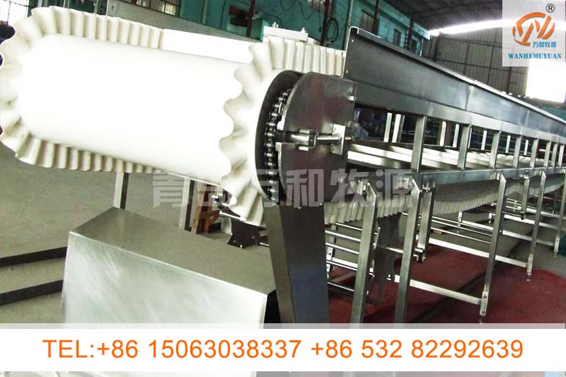 belt conveyor for inspection of the white offal