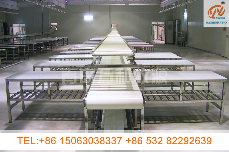 Double layer dividing conveyor